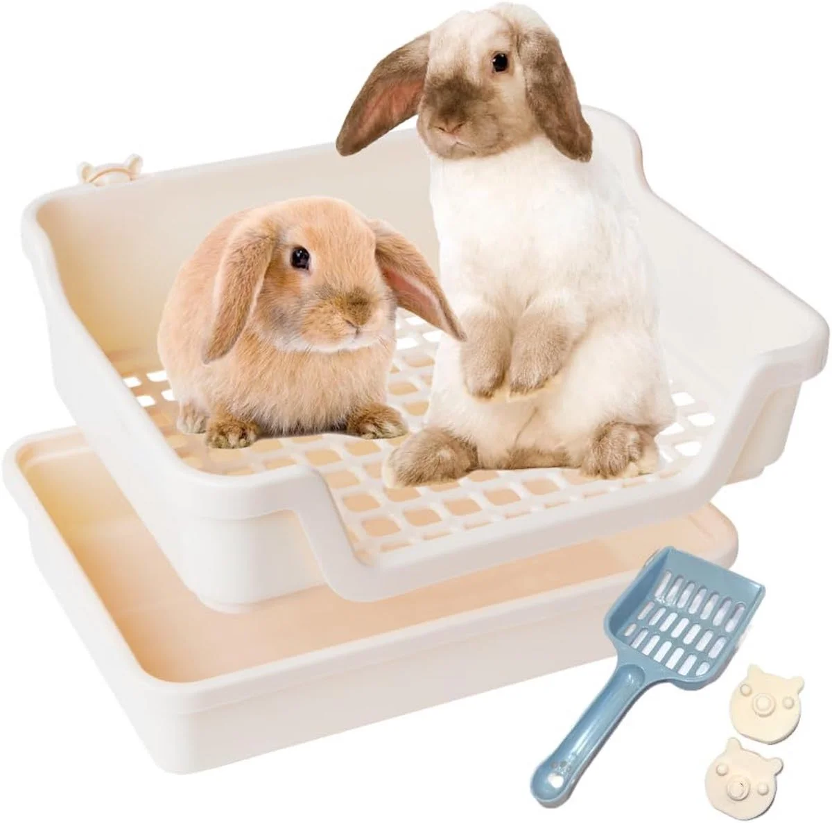 HoppScotch.bun litter box with two bunnies