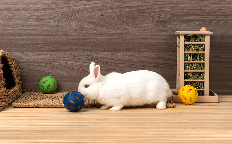 Best Rabbit Toys - Niteangel Treat Ball With White Bunny