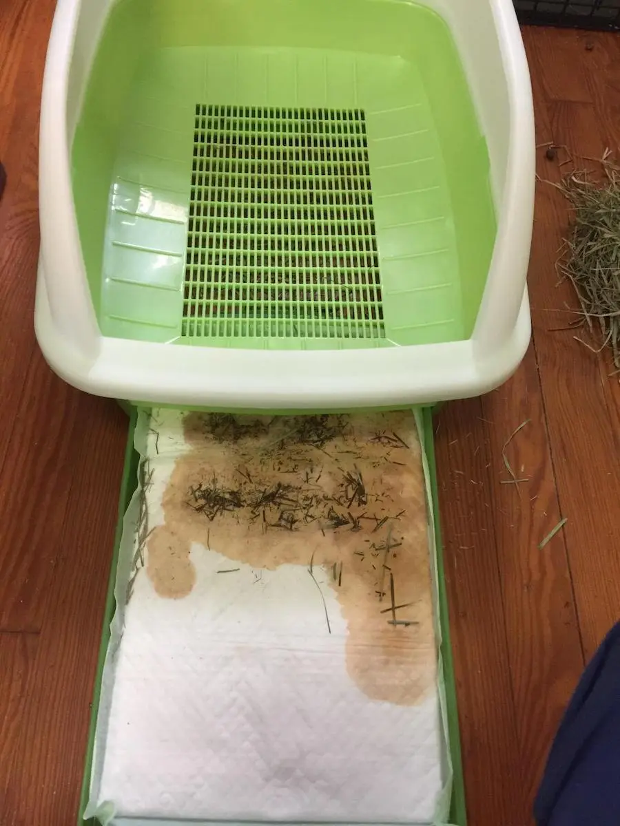 Purina Breeze system litter box cleaning