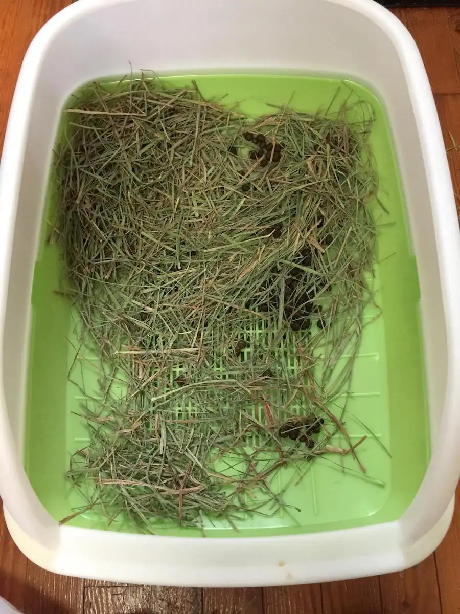 Purina Breeze system litter box with poop in it