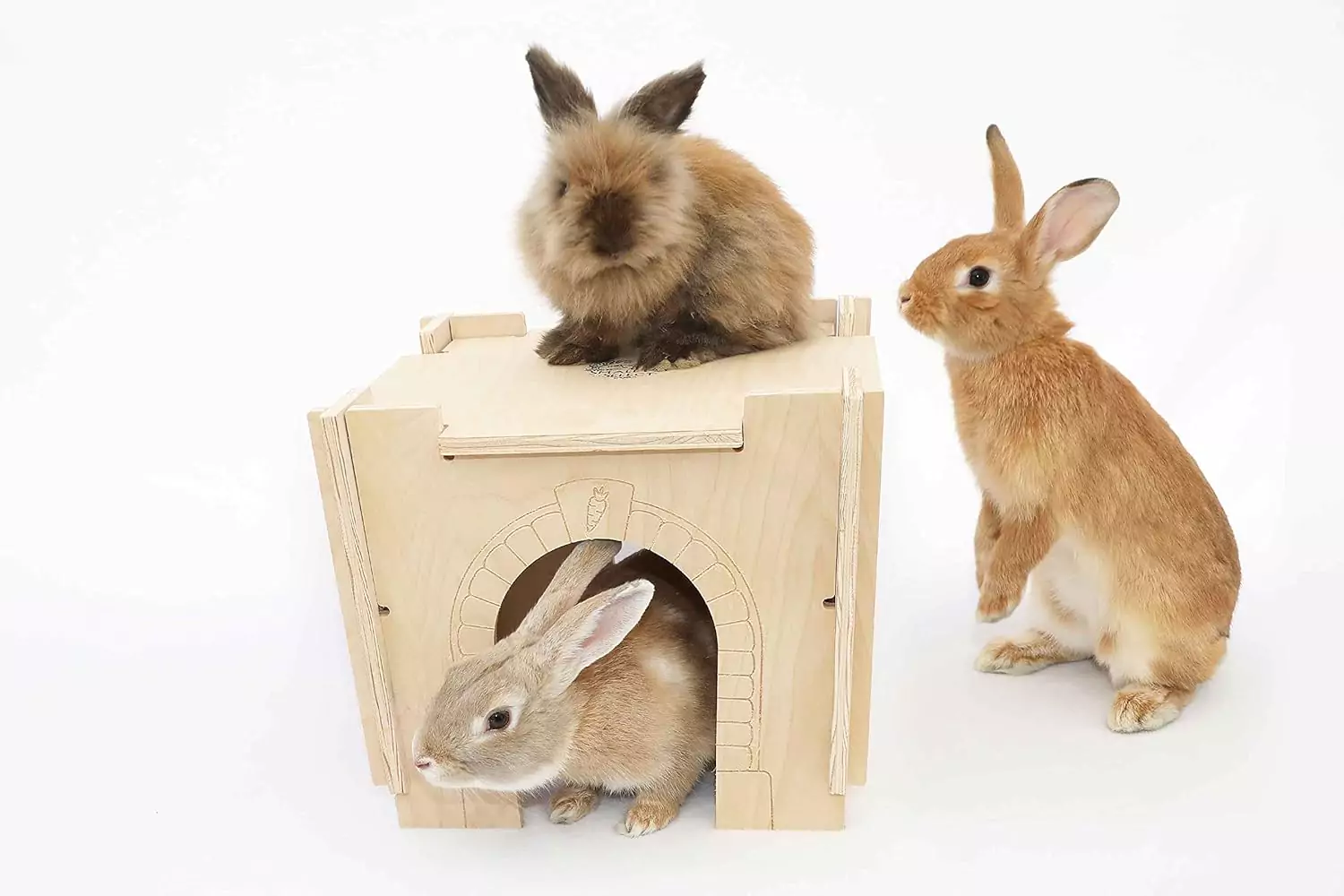 Best Rabbit Toys - Small Pet Select Hideout With Bunnies