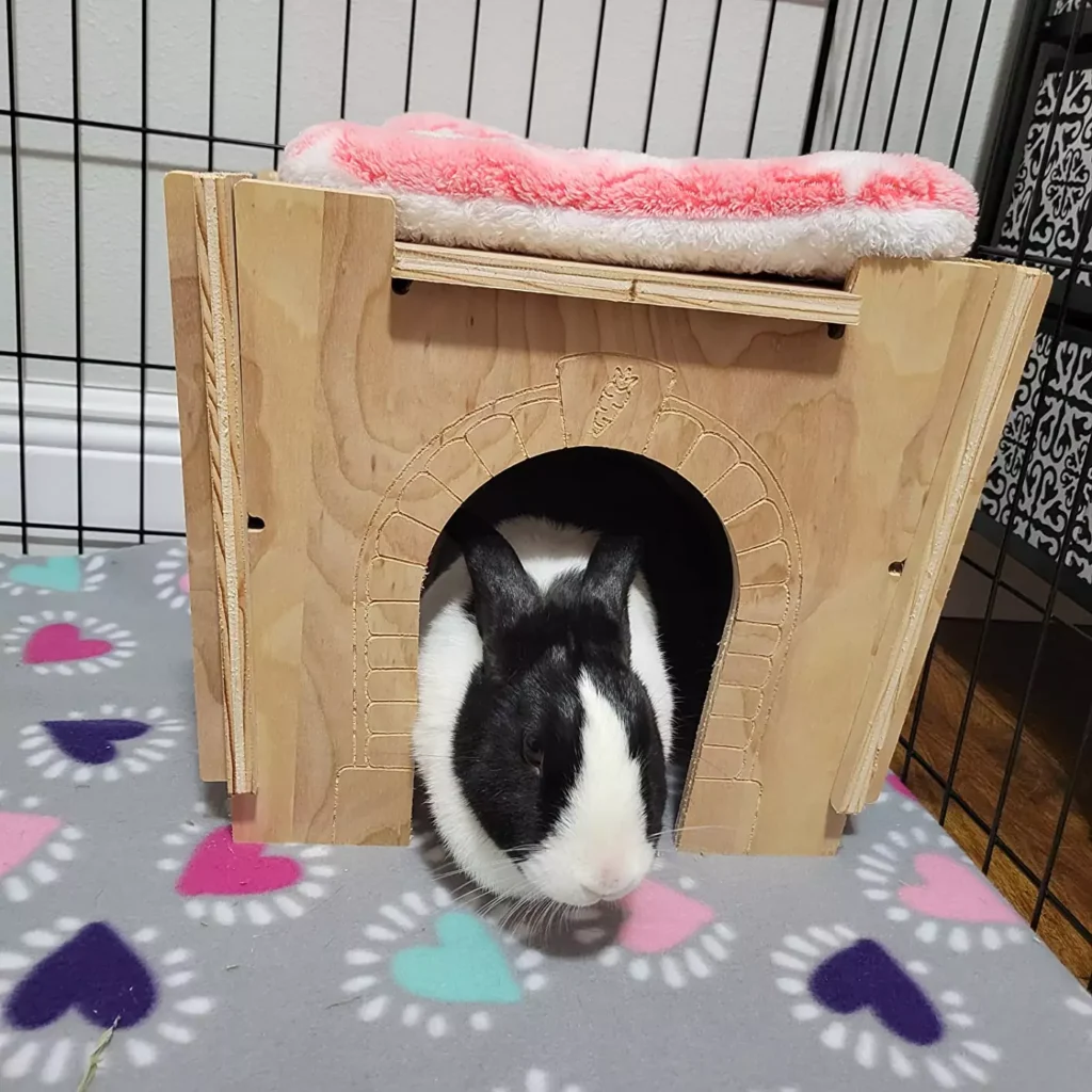 Small Pet Select Hideout With Bunny Inside