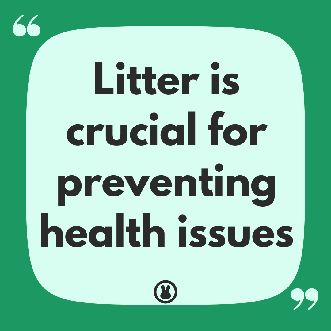 Litter is crucial for preventing health issues quote