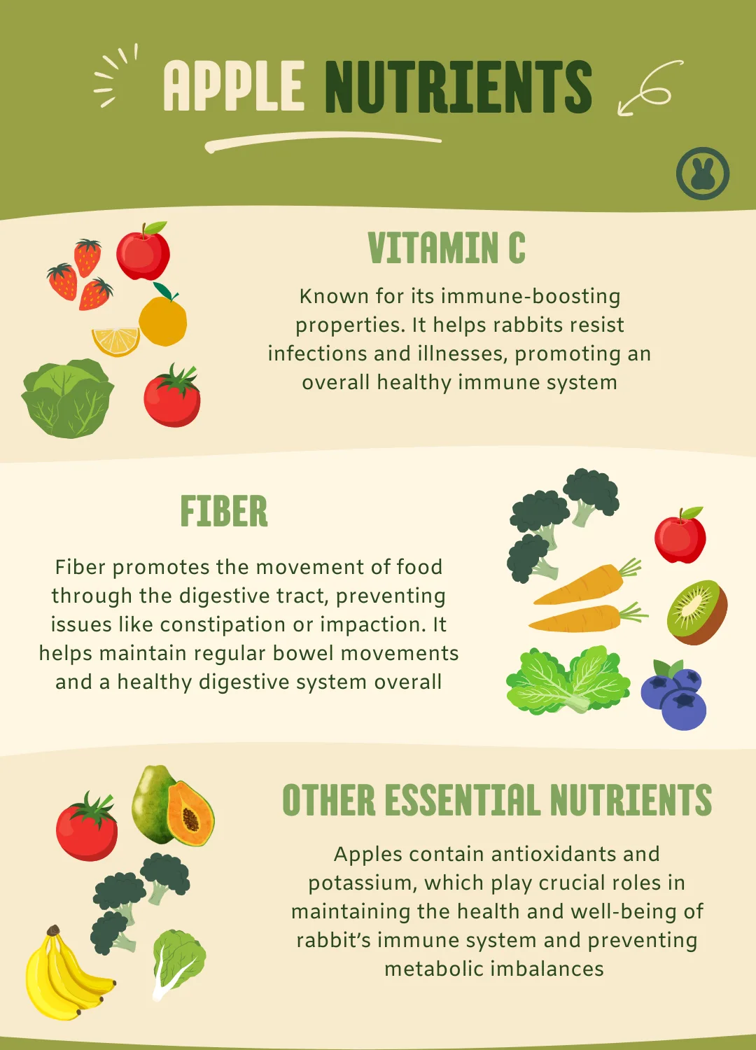 Can rabbits eat apples? Infographic with all the benefits of apples