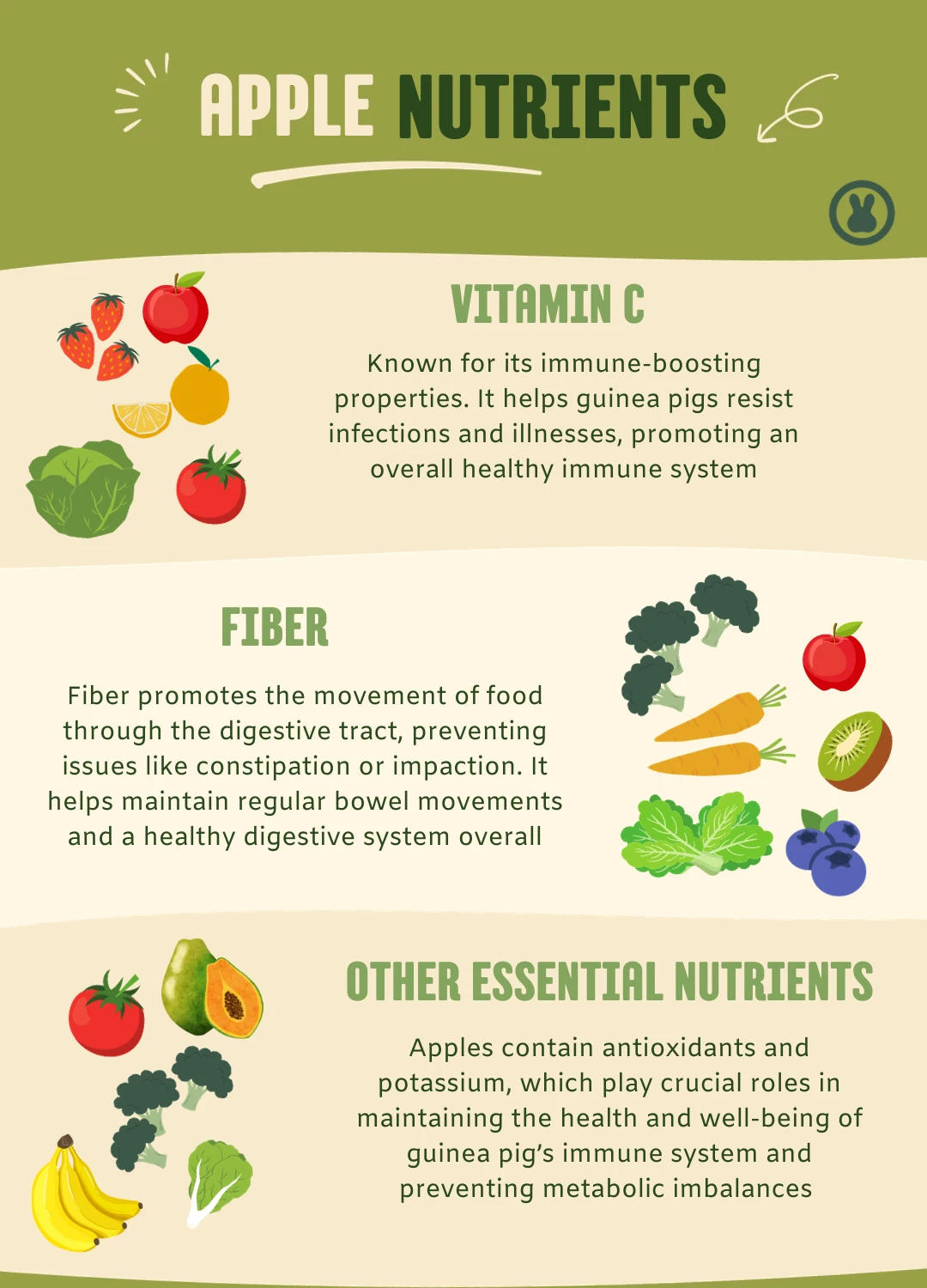 Can guinea pigs eat apples: apples nutrients and benefits infographic