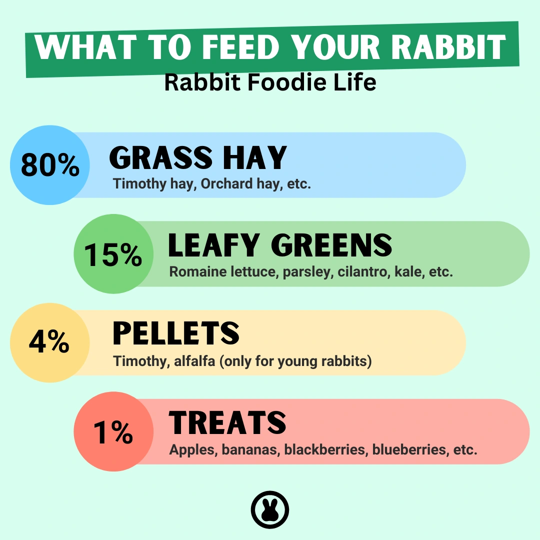 Are rabbits good pets? Rabbit feeding chart