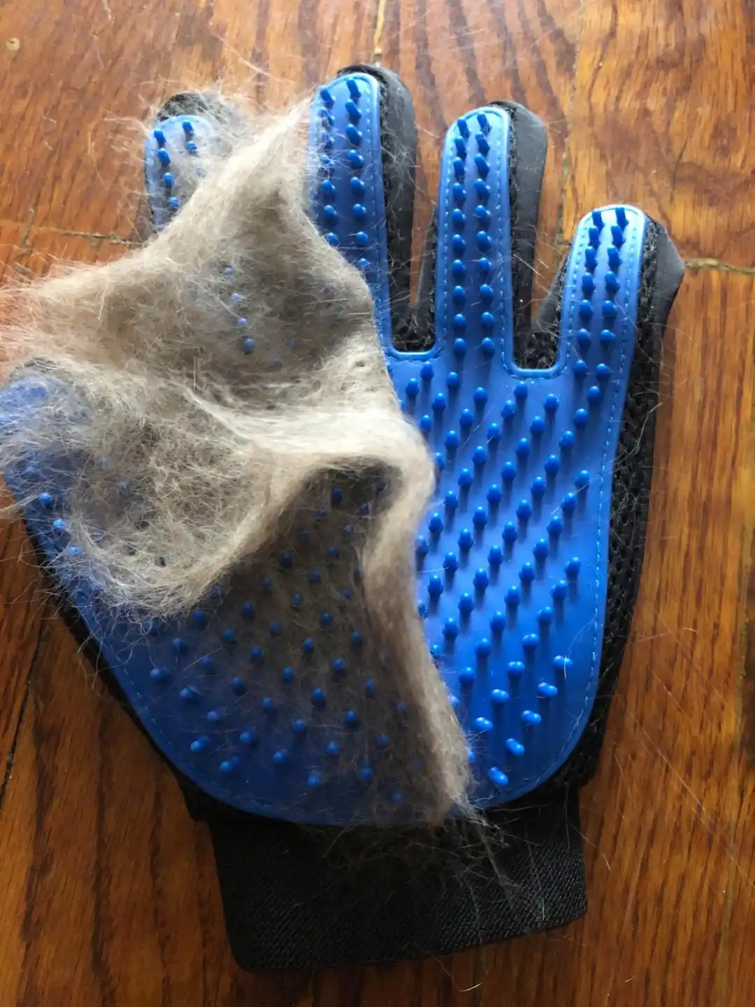Best brushes for rabbits - Cleaning up Delomo grooming gloves