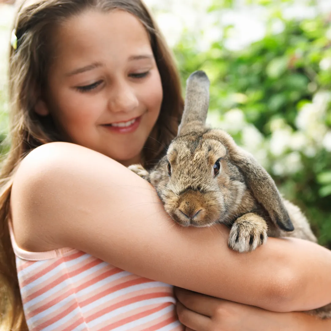 Are rabbits rodents? Rabbit with a girl