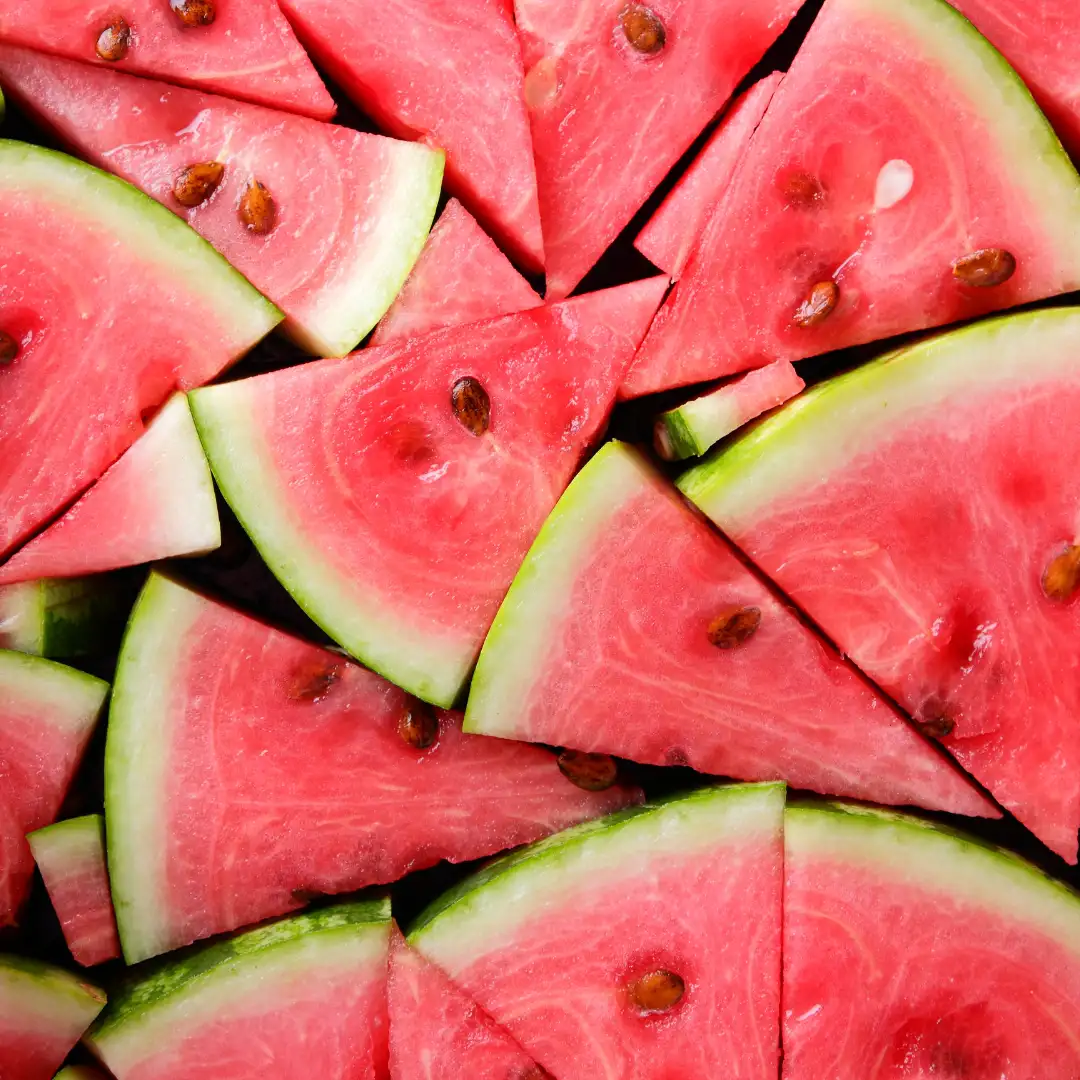 Can guinea pigs eat watermelon? Watermelon slices